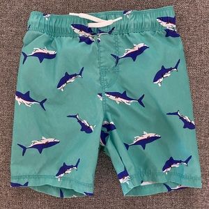 Toddler Boys 3T Swim Trunks